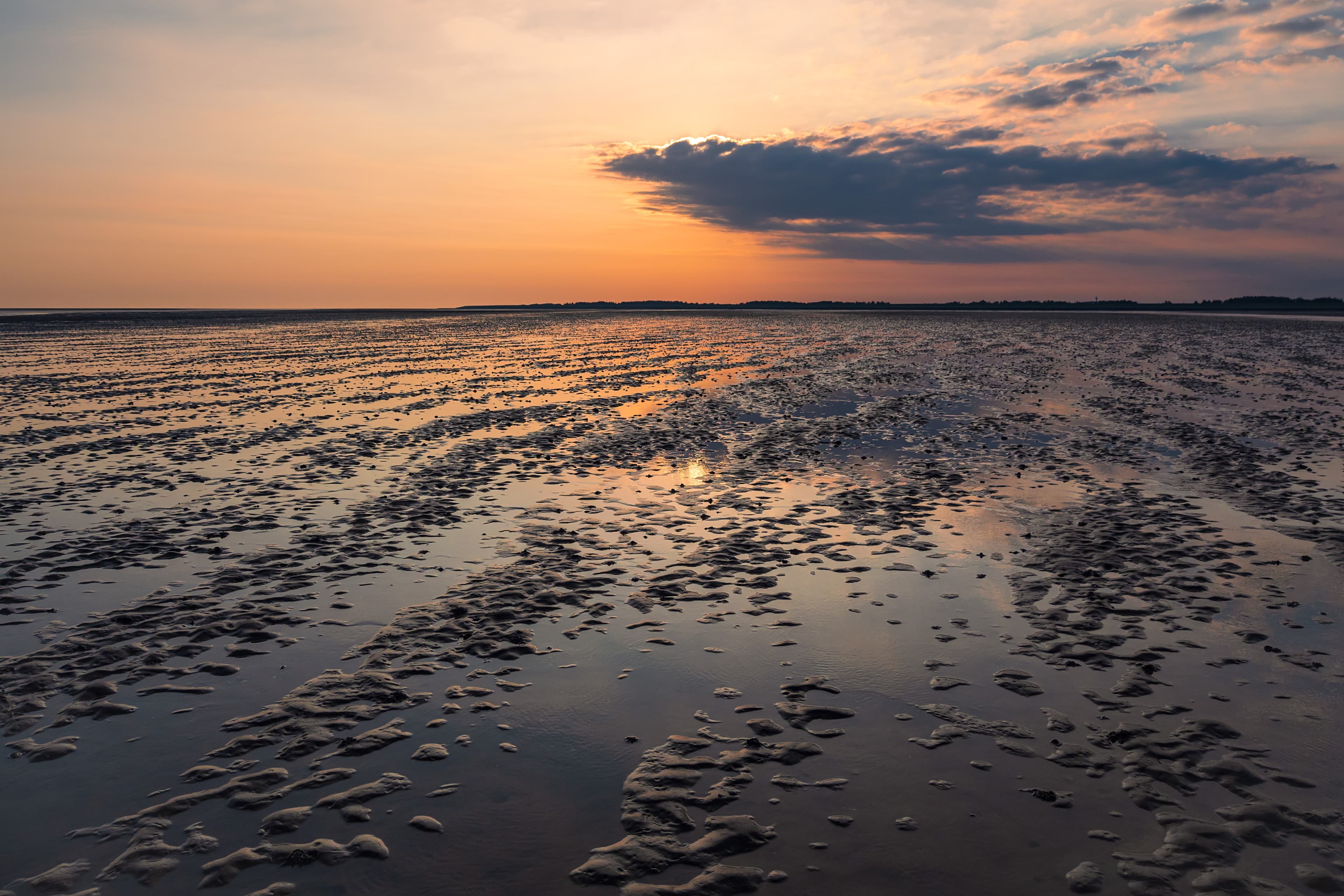 Das UNESCO-Weltnaturerbe Wattenmeer bei Sonnenuntergang