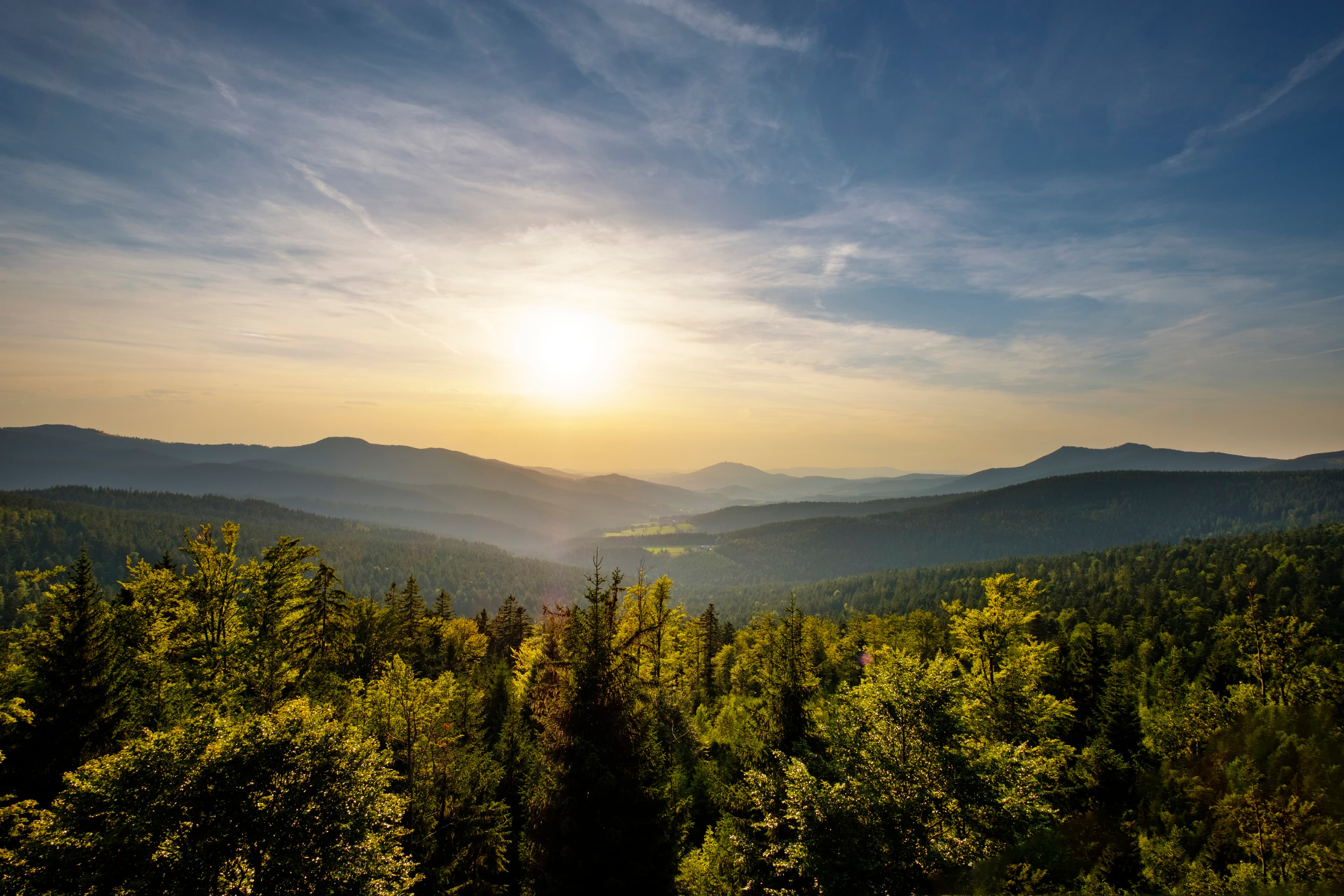 Blick über die Baumgipfel des Bayersichen Waldes mit Sonnenuntergang